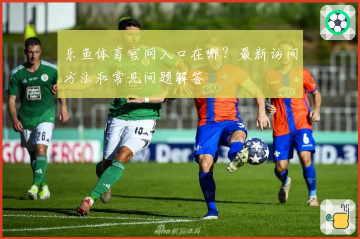 乐鱼体育官网入口在哪?最新访问方法和常见问题解答
