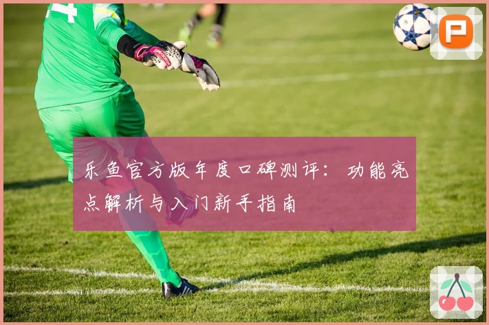 乐鱼官方版年度口碑测评：功能亮点解析与入门新手指南